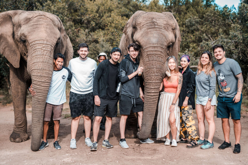 Group of friends posing with two elephants